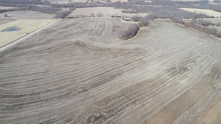 Land Auction, 75+/- Acres, Carroll County, MO - image 11