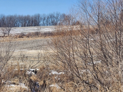 Hunting Land With Income For Sale - image 2