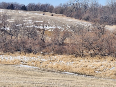 Hunting Land With Income For Sale - image 3