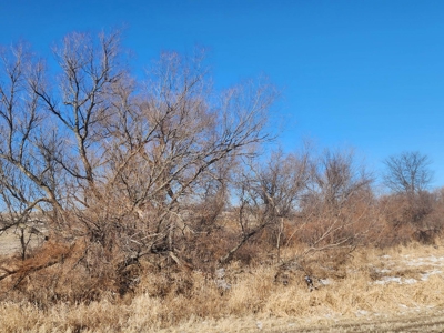 Hunting Land With Income For Sale - image 7