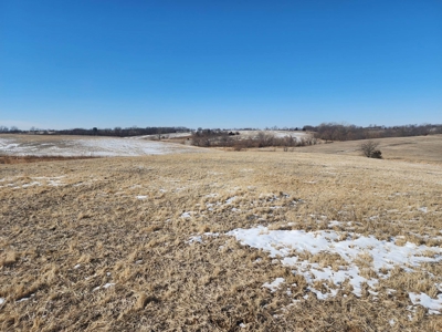 Hunting Land With Income For Sale - image 8