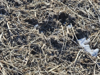 Hunting Land With Income For Sale - image 4