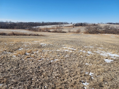 Hunting Land With Income For Sale - image 5