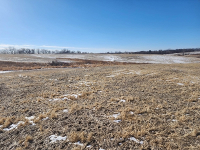 Hunting Land With Income For Sale - image 1