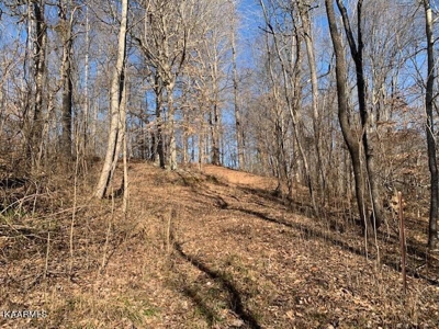 Land for sale Cookeville TN  6524 Cherry Creek Rd - image 6