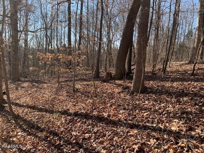 Land for sale Cookeville TN  6524 Cherry Creek Rd - image 5
