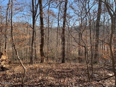 Land for sale Cookeville TN  6524 Cherry Creek Rd - image 2