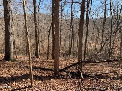Land for sale Cookeville TN  6524 Cherry Creek Rd - image 3