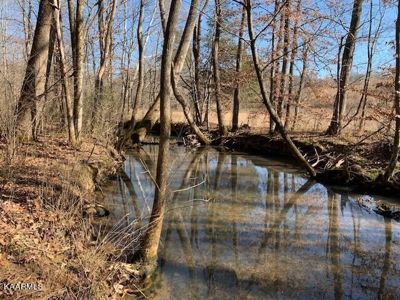 Land for sale Cookeville TN  6524 Cherry Creek Rd - image 10