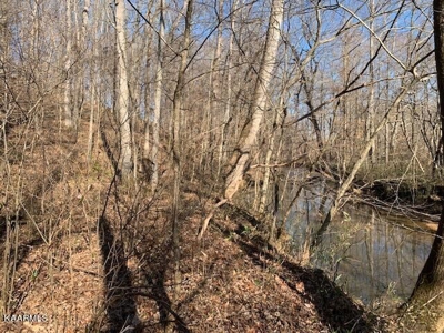 Land for sale Cookeville TN  6524 Cherry Creek Rd - image 12