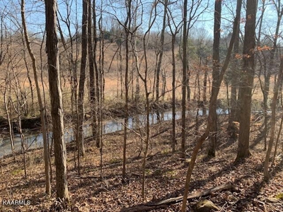 Land for sale Cookeville TN  6524 Cherry Creek Rd - image 14