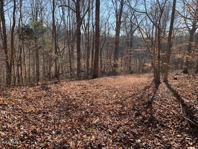 Land for sale Cookeville TN  6524 Cherry Creek Rd - image 4
