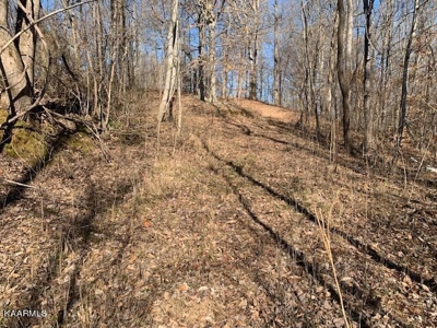 Land for sale Cookeville TN  6524 Cherry Creek Rd - image 1