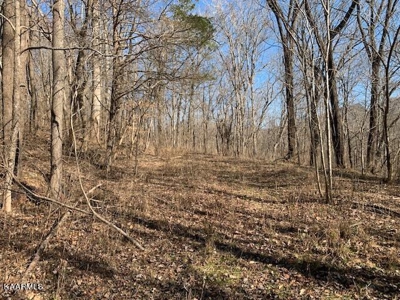 Land for sale Cookeville TN  6524 Cherry Creek Rd - image 17