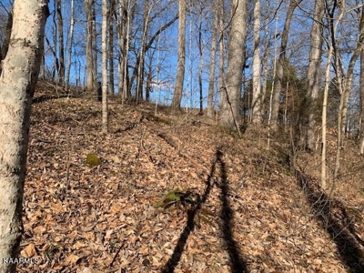 Land for sale Cookeville TN  6524 Cherry Creek Rd - image 22