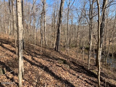 Land for sale Cookeville TN  6524 Cherry Creek Rd - image 15
