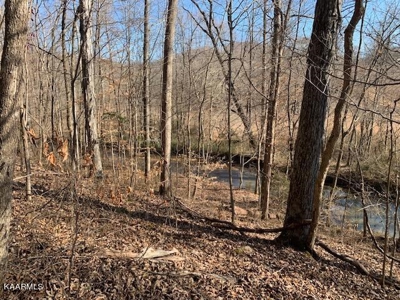 Land for sale Cookeville TN  6524 Cherry Creek Rd - image 16