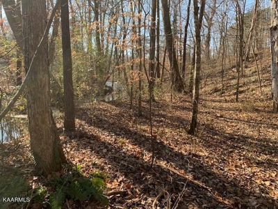 Land for sale Cookeville TN  6524 Cherry Creek Rd - image 11
