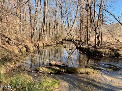 Land for sale Cookeville TN  6524 Cherry Creek Rd - image 8