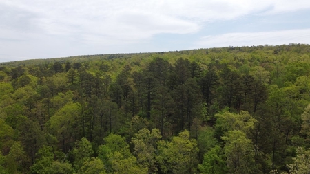 50.53 Acres Mountain Land For Sale Nashoba Okla - image 3