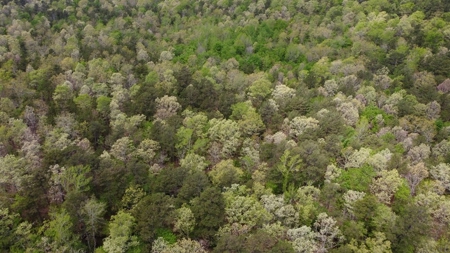 20.63 Acres Hunting/Recreational Land For Sale Nashoba Ok - image 2