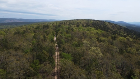 97.37 Acres Mountain Land For Sale Nashoba Ok - image 2