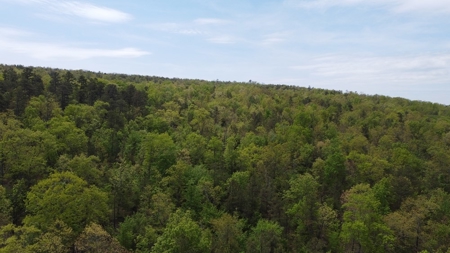 97.37 Acres Mountain Land For Sale Nashoba Ok - image 6