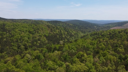 97.37 Acres Mountain Land For Sale Nashoba Ok - image 8