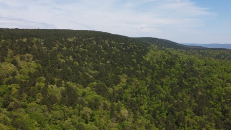 97.37 Acres Mountain Land For Sale Nashoba Ok - image 10