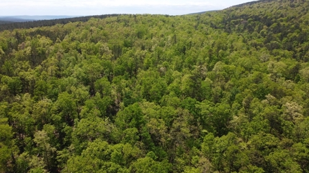97.37 Acres Mountain Land For Sale Nashoba Ok - image 9