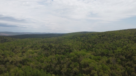 97.37 Acres Mountain Land For Sale Nashoba Ok - image 5