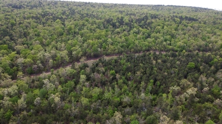 97.37 Acres Mountain Land For Sale Nashoba Ok - image 4