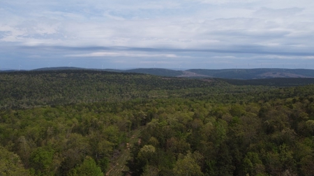 97.37 Acres Mountain Land For Sale Nashoba Ok - image 3
