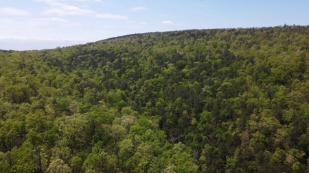 24.89 Acres Mountain Land For Sale Nashoba Ok - image 2