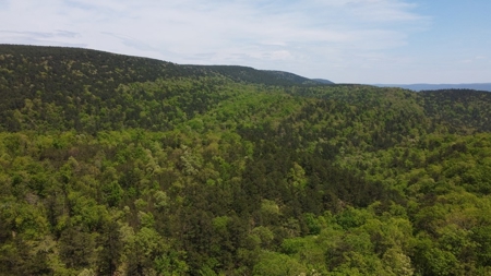 24.89 Acres Mountain Land For Sale Nashoba Ok - image 4
