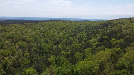 23.70 Acres Hunting/Recreational Land For Sale Nashoba Ok - image 4