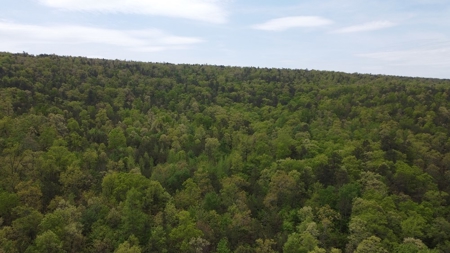 23.70 Acres Hunting/Recreational Land For Sale Nashoba Ok - image 1