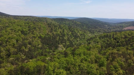 23.70 Acres Hunting/Recreational Land For Sale Nashoba Ok - image 2