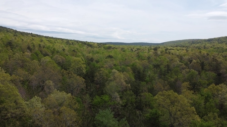 25.81 Acres Hunting/Recreational Land For Sale Nashoba Okla - image 1
