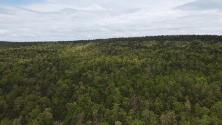 25.81 Acres Hunting/Recreational Land For Sale Nashoba Okla - image 2
