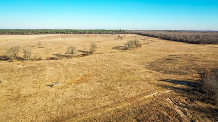 Recreational & Hunting Property For Sale in De Kalb TX - image 14