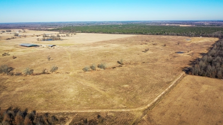 Recreational & Hunting Property For Sale in De Kalb TX - image 22