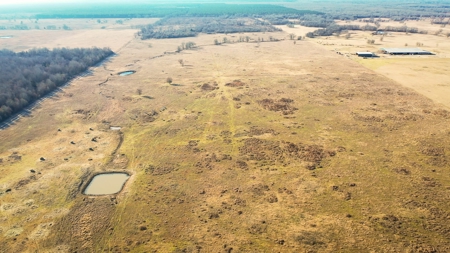 Recreational & Hunting Property For Sale in De Kalb TX - image 6