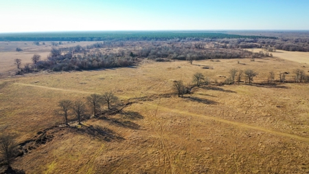 Recreational & Hunting Property For Sale in De Kalb TX - image 8