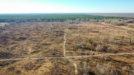 Recreational & Hunting Property For Sale in De Kalb TX - image 10