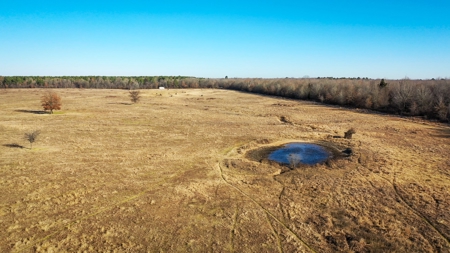 Recreational & Hunting Property For Sale in De Kalb TX - image 16