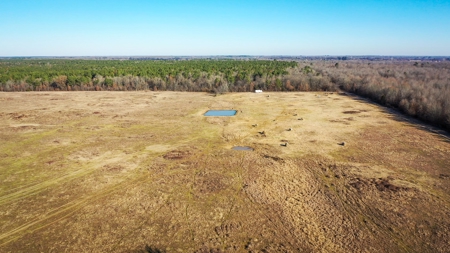 Recreational & Hunting Property For Sale in De Kalb TX - image 23
