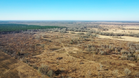 Recreational & Hunting Property For Sale in De Kalb TX - image 20
