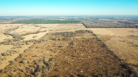 Recreational & Hunting Property For Sale in De Kalb TX - image 11