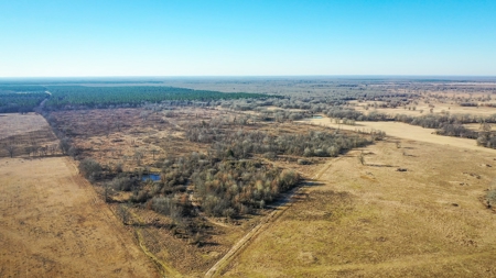 Recreational & Hunting Property For Sale in De Kalb TX - image 17